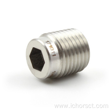 Hollow Pipe Plug